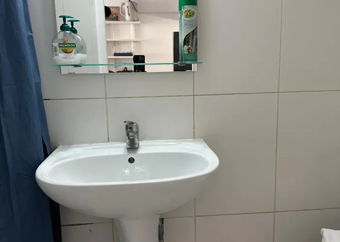 Capsulehotel Les Balconnets Ap3 Centre *